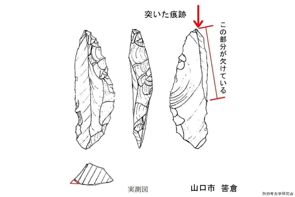 切って良し､突いても良しかな？