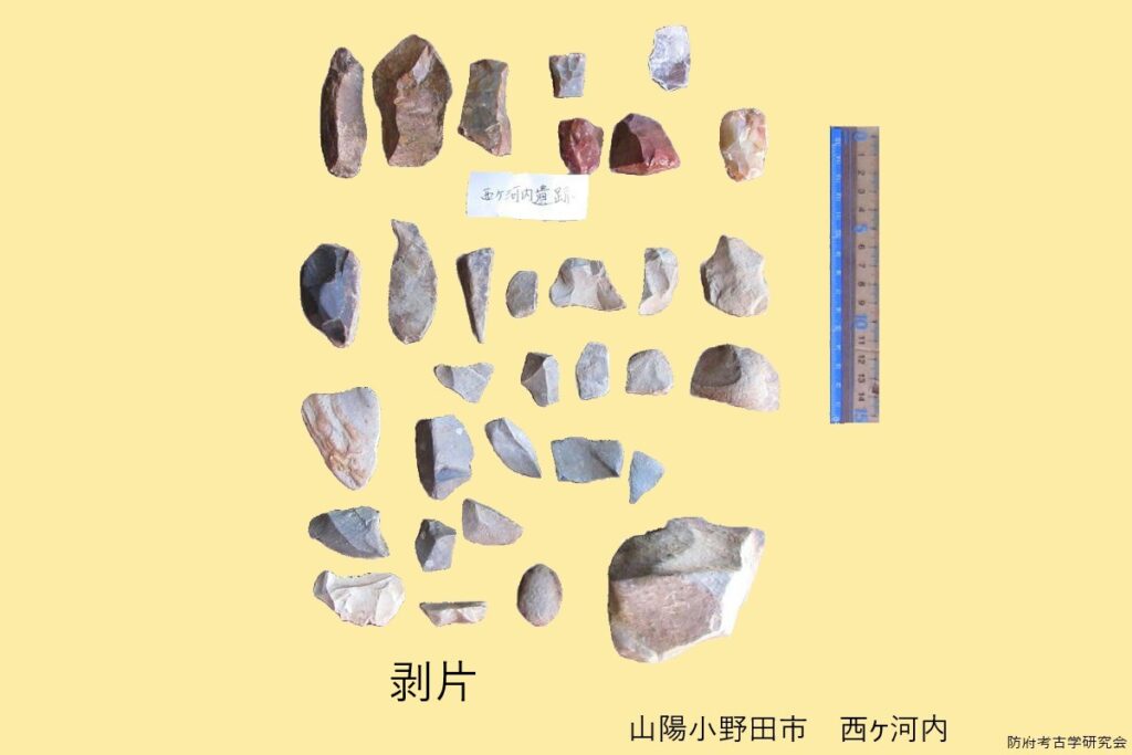 剥片　　表面採集では、いつの時代のものか分かりにくい。